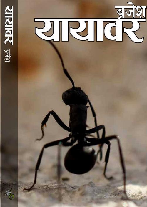 यायाबर