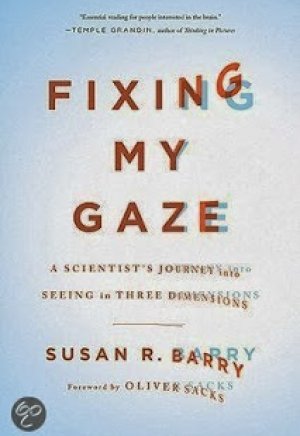 Fixing my gaze